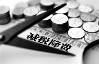 未央?yún)^(qū)正規(guī)教育科技公司快速注冊(cè)指南 聚焦西安通稅財(cái)務(wù)咨詢服務(wù)